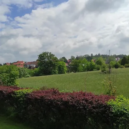 Fewo Harzer Wiesenblick Apartment Braunlage